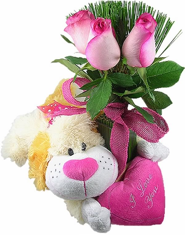 قصــــــــ أنا ــــــــتى دبدوب